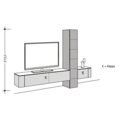 Hülsta Gentis Wohnwand 1 - Akzent Naturstamm - Breite 299,2 Cm